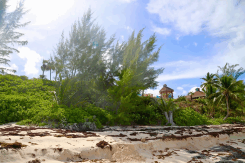 palmetto-point-0-62-acre-lot-eleuthera-bahamas-ushombi-3