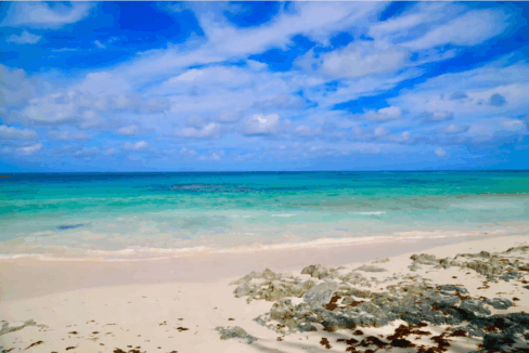 palmetto-point-0-62-acre-lot-eleuthera-bahamas-ushombi-4
