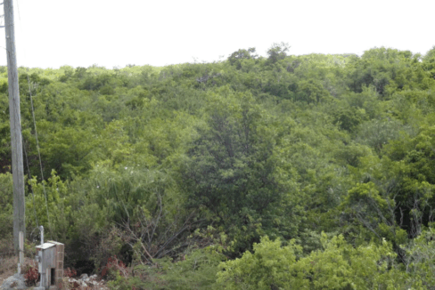 shoal-bay-east-0-5-acre-oceanview-lot-anguilla-ushombi-4
