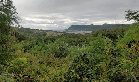 cap-estate-0-38-acre-opportunity-st-lucia-ushombi-1