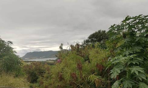 cap-estate-0-38-acre-opportunity-st-lucia-ushombi-6