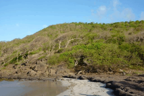 case-cafe-3-3-oceanfront-opportunity-cas-en-bas-st-lucia-ushombi-1