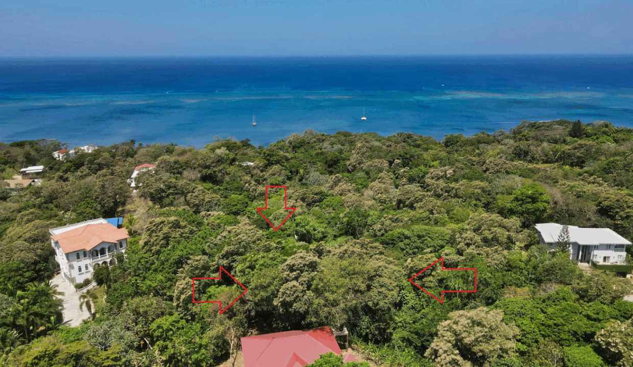 the-banks-roatan-0-21-acre-opportunity-roatan-honduras-ushombi-3
