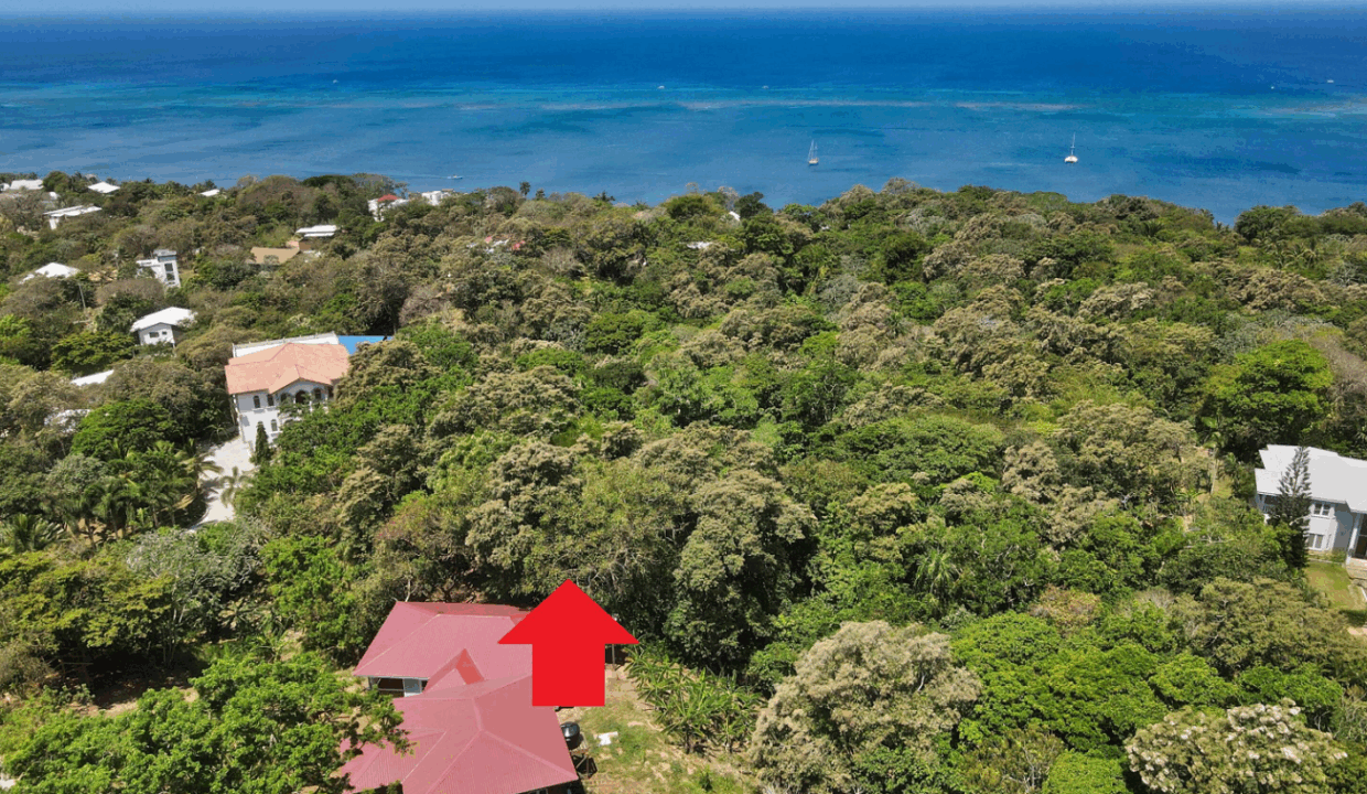 the-banks-roatan-0-21-acre-opportunity-roatan-honduras-ushombi-4