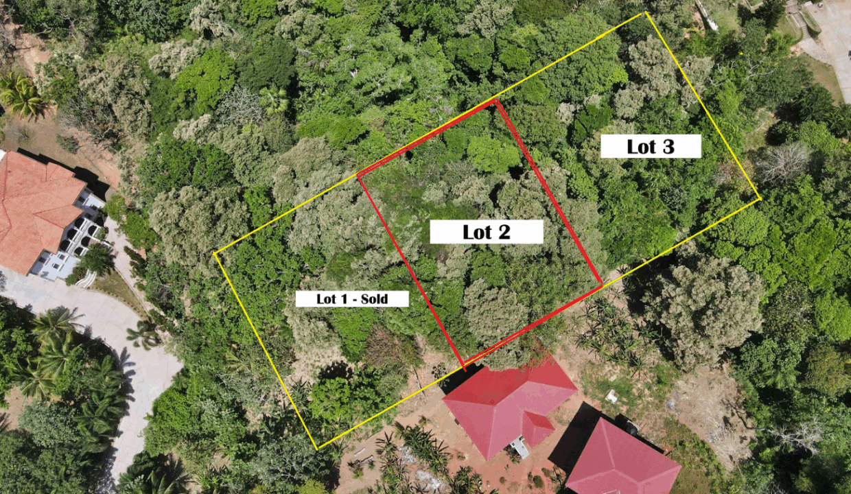 the-banks-roatan-0-21-acre-opportunity-roatan-honduras-ushombi-5