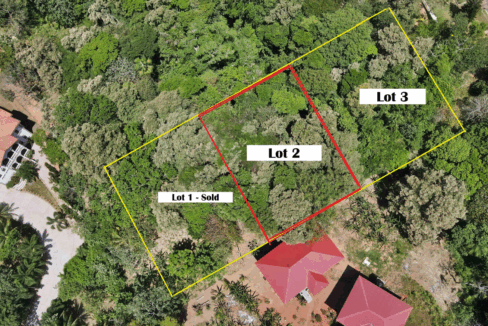 the-banks-roatan-0-21-acre-opportunity-roatan-honduras-ushombi-5