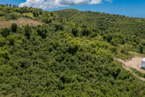26-b-prospect-hill-na-2-5-acre-lot-prospect-hill-st-croix-ushombi-8
