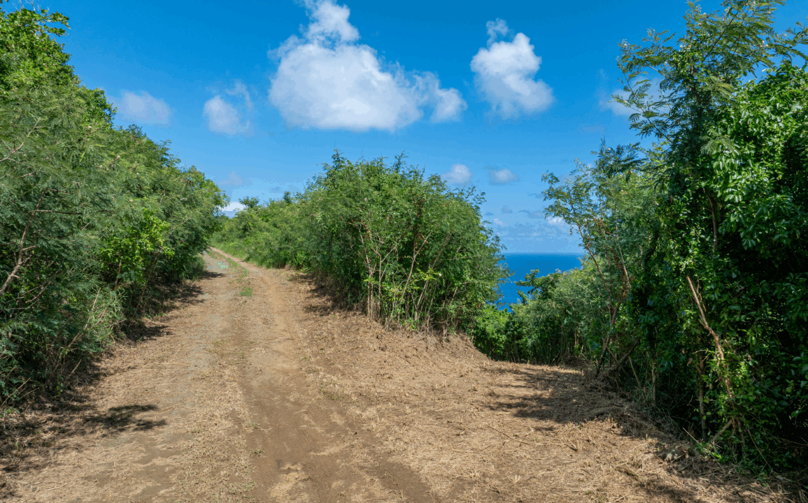 72-1-clairmont-nb-5-79-acre-opportunity-st-croix-us-virgin-islands-ushombi-6