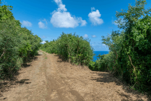 72-1-clairmont-nb-5-79-acre-opportunity-st-croix-us-virgin-islands-ushombi-6