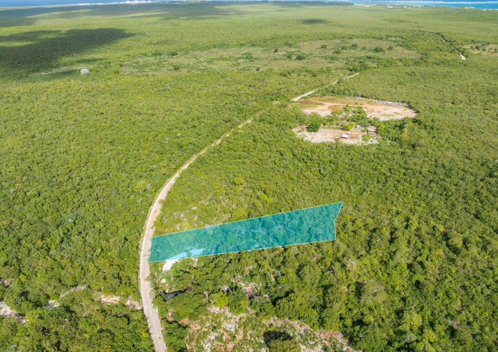 farm-road-0-52-acre-vacant-lot-cayman-islands-ushombi-2