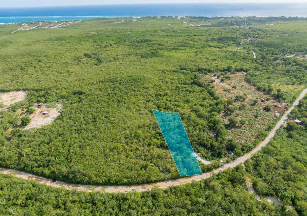 farm-road-0-52-acre-vacant-lot-cayman-islands-ushombi-3