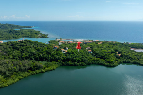 parrot-tree-plantation-0-53-acres-lot-31-parrot-tree-plantation-honduras-ushombi-2