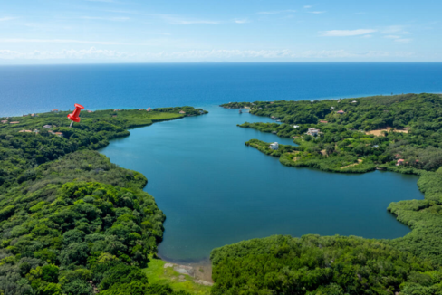 parrot-tree-plantation-0-53-acres-lot-31-parrot-tree-plantation-honduras-ushombi-3