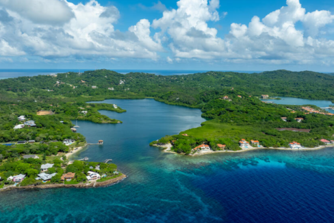 parrot-tree-plantation-0-53-acres-lot-31-parrot-tree-plantation-honduras-ushombi-4