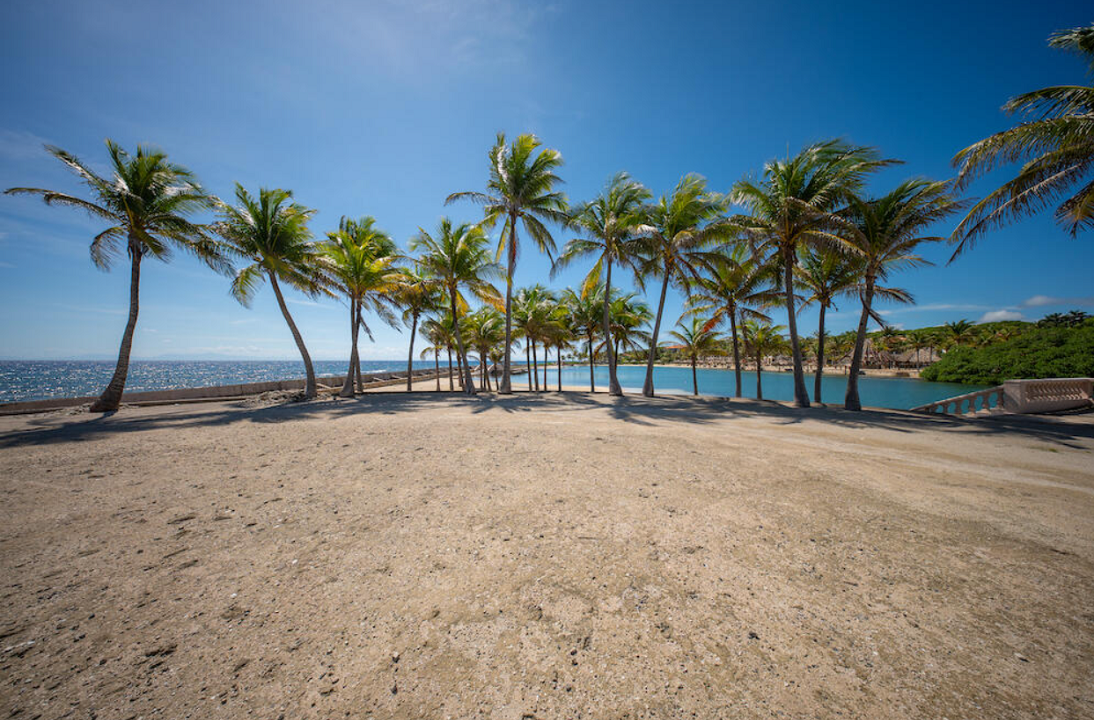 parrot-tree-plantation-0-53-acres-lot-31-parrot-tree-plantation-honduras-ushombi-6