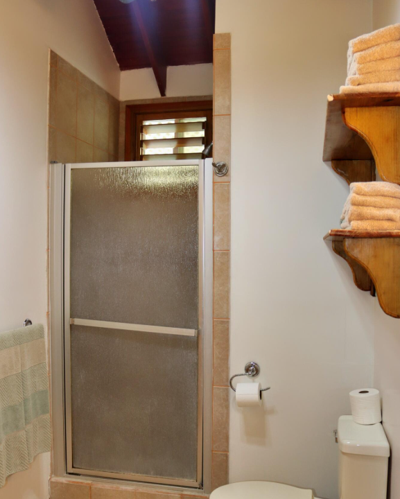 las-palmas-roatan-4br-oceanfront-villa-roatan-honduras-ushombi-8