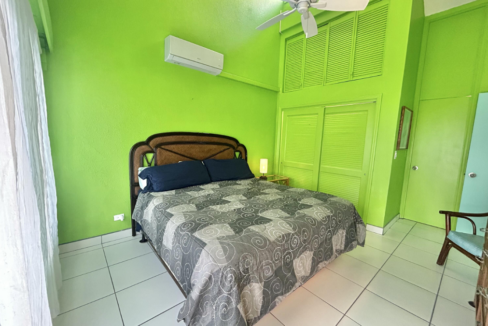 cruzan-princess-st-croix-oceanview-2br-st-croix-ushombi-5