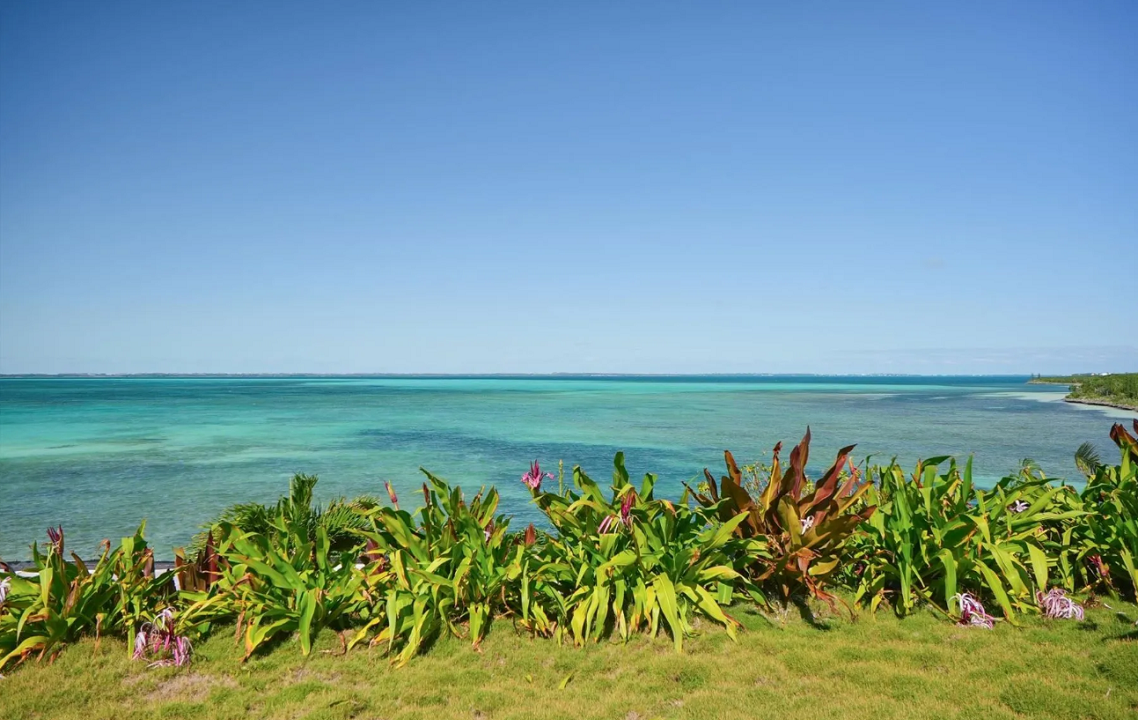 21-acres-south-end-tilloo-cay-bahamas-ushombi-4