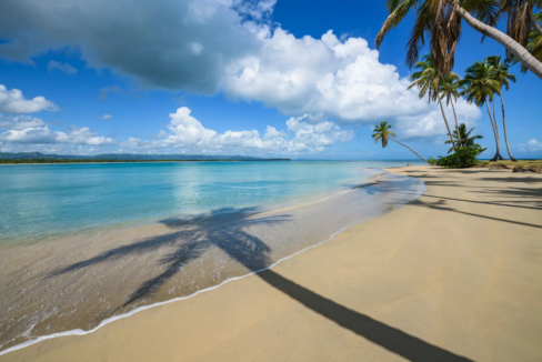 four-seasons-tropicalia-4br-home-miches-dominican-republic-ushombi-6