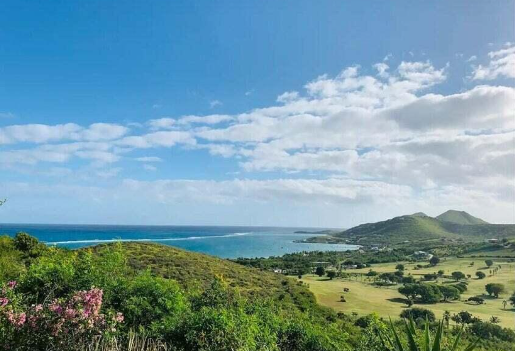 217-cotton-valley-eb-0-9-acre-lot-st-croix-ushombi-2