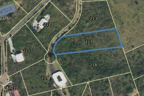 217-cotton-valley-eb-0-9-acre-lot-st-croix-ushombi-7
