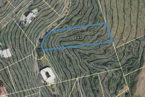 217-cotton-valley-eb-0-9-acre-lot-st-croix-ushombi-9