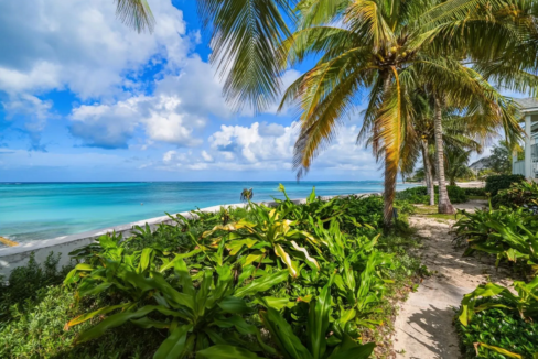 7b-palms-of-love-beach-bahamas-ushombi-4