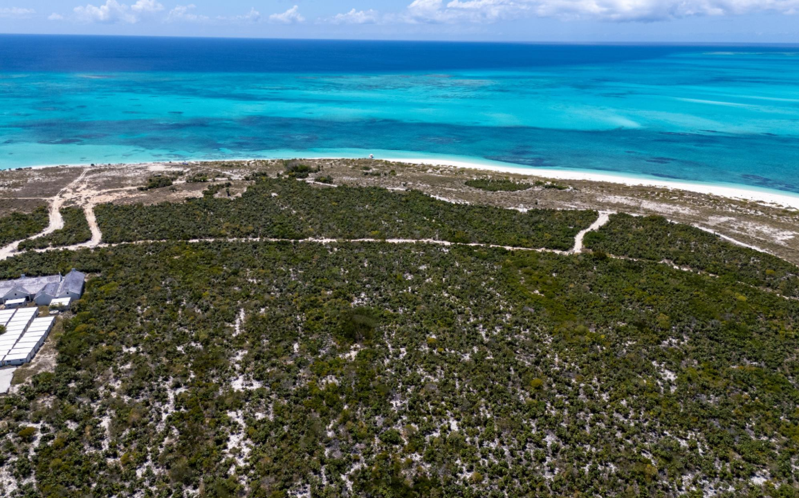 west-caicos-144-acre-rare-opportunity-turks-and-caicos-ushombi-3