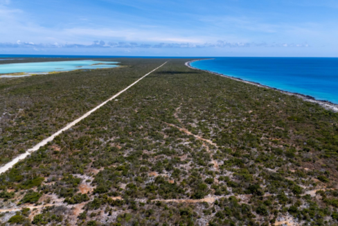 west-caicos-144-acre-rare-opportunity-turks-and-caicos-ushombi-5