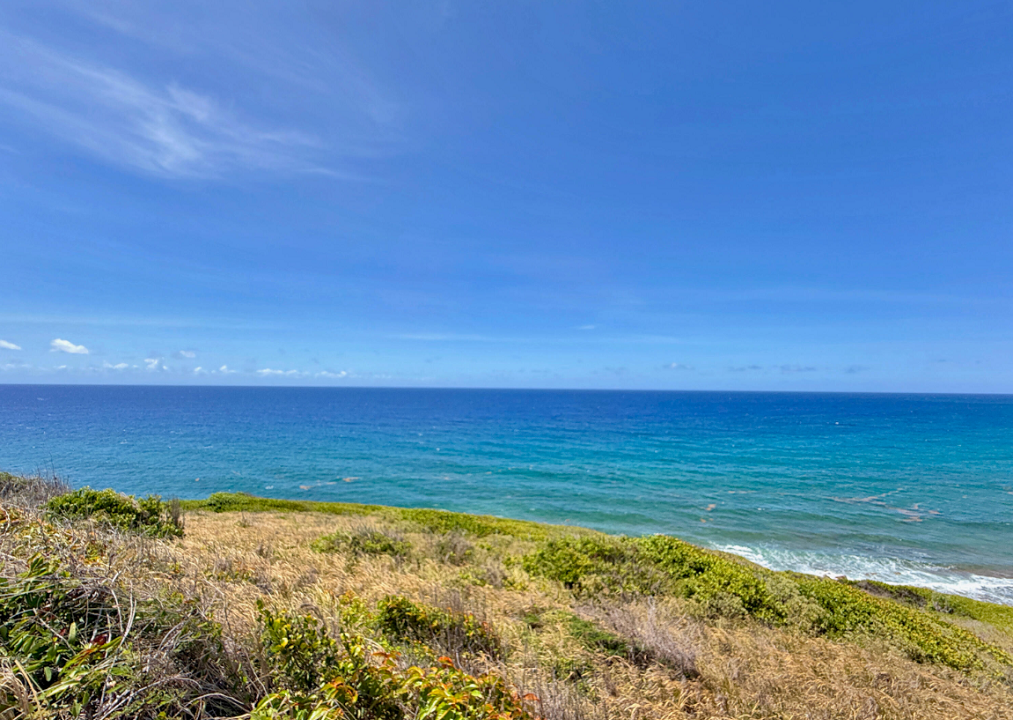 8-a-concordia-nb-0-63-acre-opportunity-st-croix-ushombi-4