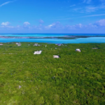 Bahama Sound Exuma