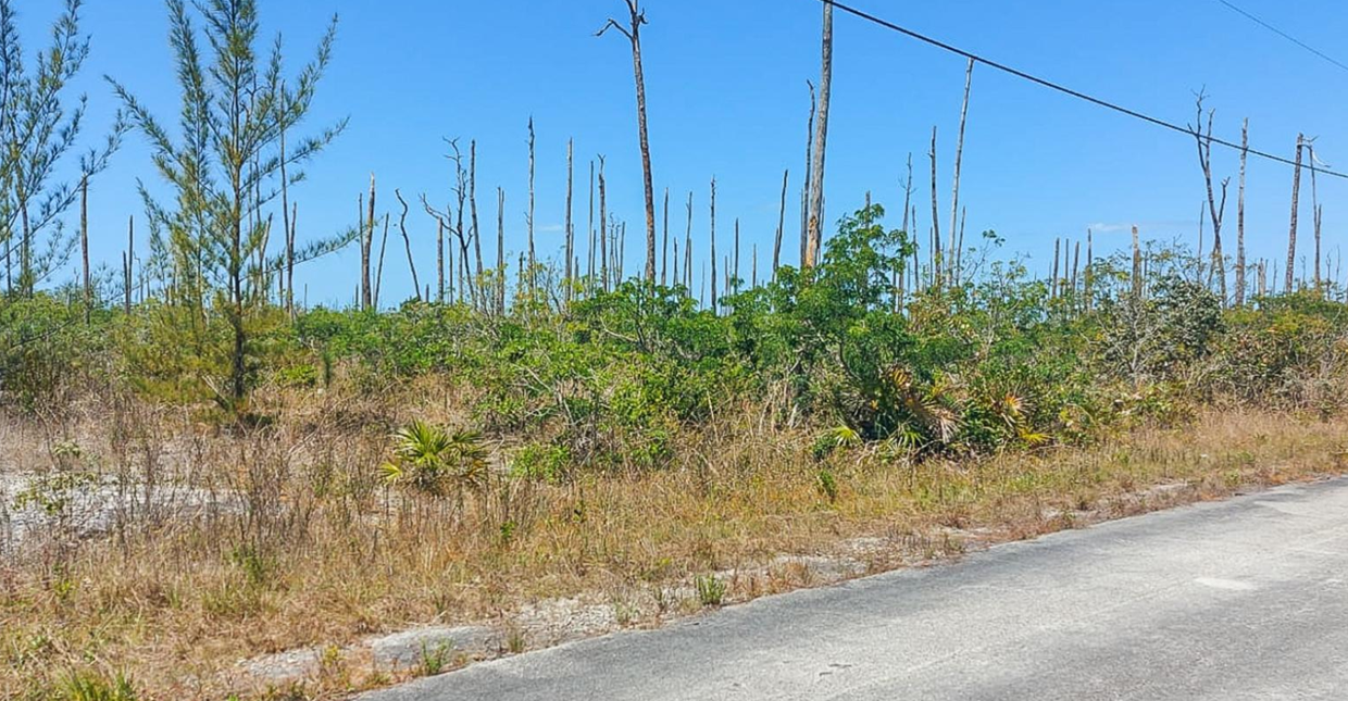devonshire-0-26-acre-bahamas-opportunity-bahamas-ushombi-1
