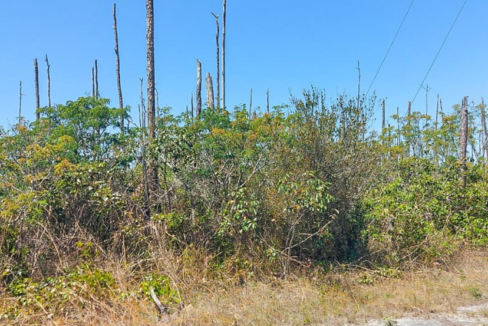 devonshire-0-26-acre-bahamas-opportunity-bahamas-ushombi-2