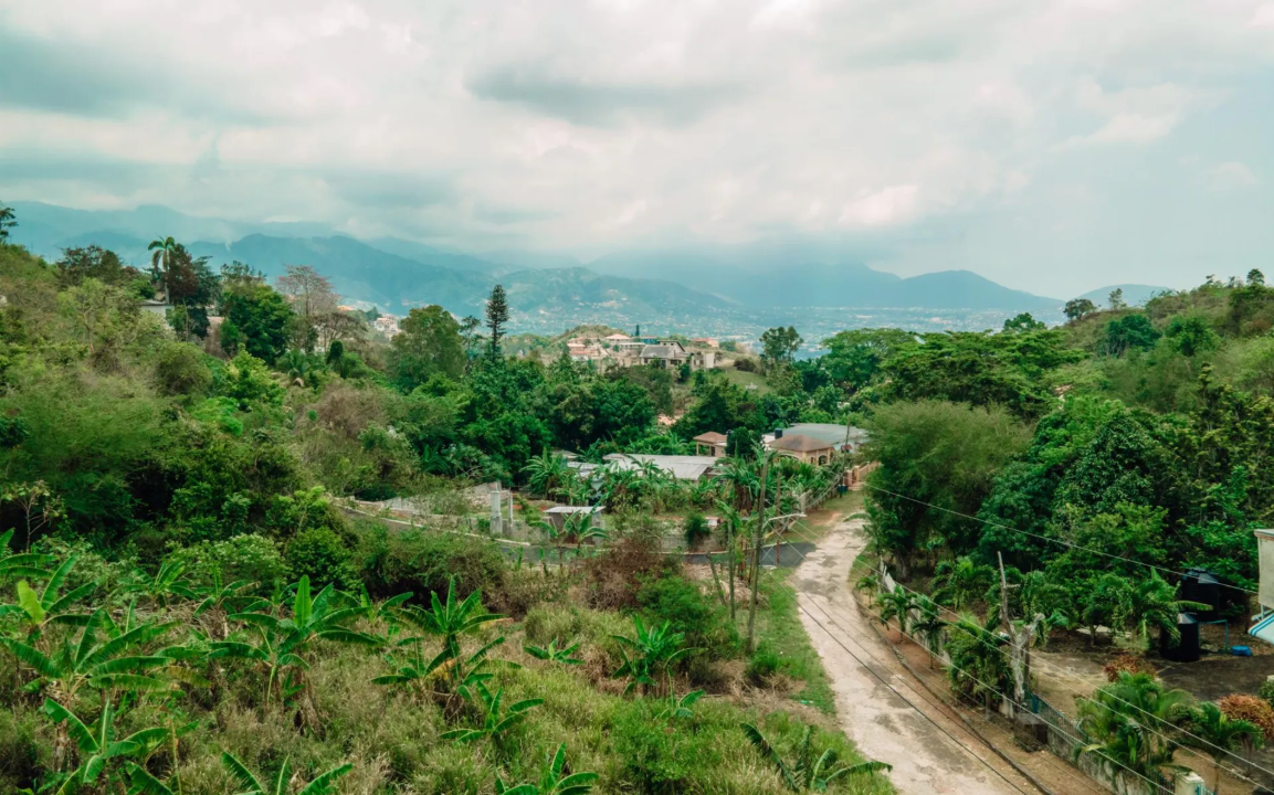 red-hills-jamaica-0-32-acre-opportunity-ushombi-4