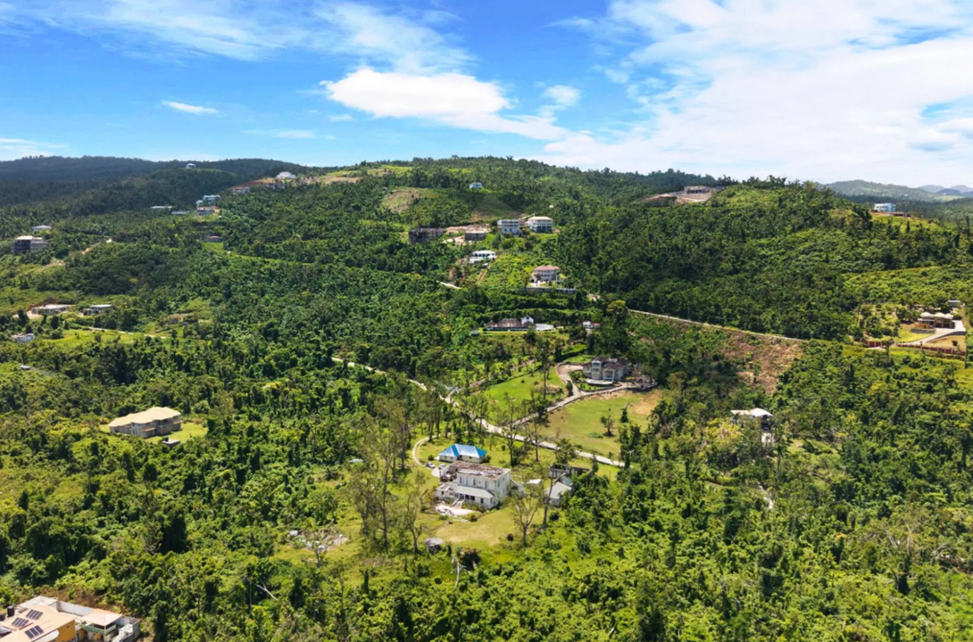 cardiff-hall-10-acre-opportunity-jamaica-ushombi-3