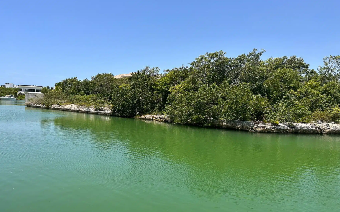 puerto-aventuras-phase-4-canal-front-mexico-ushombi-2