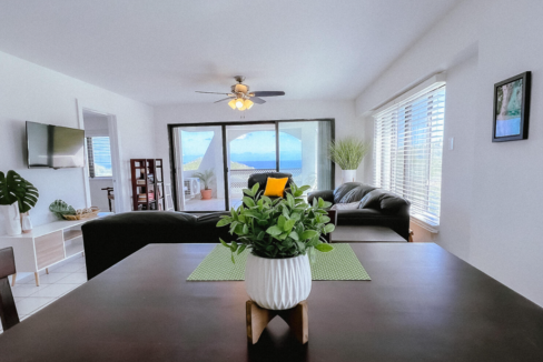 st-thomas-palm-gardens-2br-condo-ushombi-6