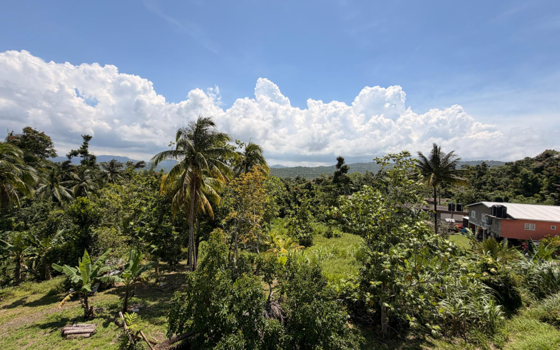 highgate-jamaica-6br-home-jamaica-ushombi-9