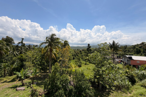 highgate-jamaica-6br-home-jamaica-ushombi-9