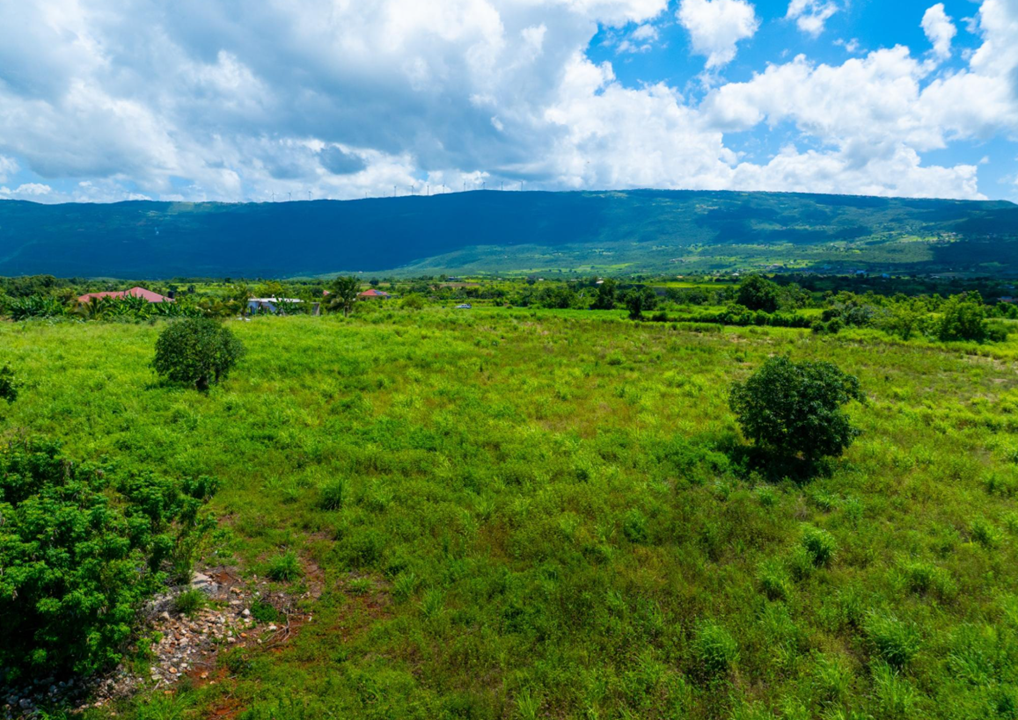 pedro-plains-2-7-acre-opportunity-jamaica-ushombi-3