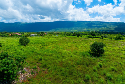 pedro-plains-2-7-acre-opportunity-jamaica-ushombi-3