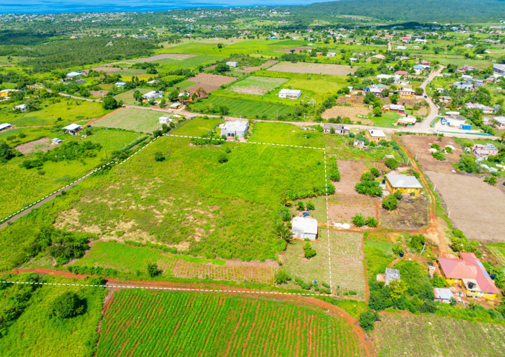 pedro-plains-2-7-acre-opportunity-jamaica-ushombi-4