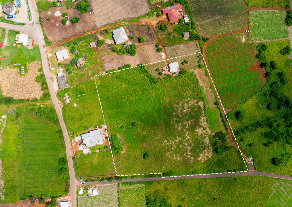 pedro-plains-2-7-acre-opportunity-jamaica-ushombi-5