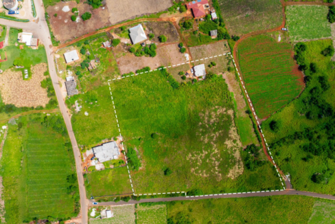 pedro-plains-2-7-acre-opportunity-jamaica-ushombi-5