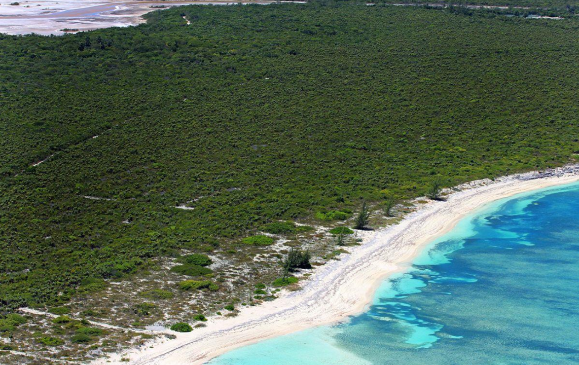 north-caicos-200-acre-beachfront-lot-tci-ushombi-6